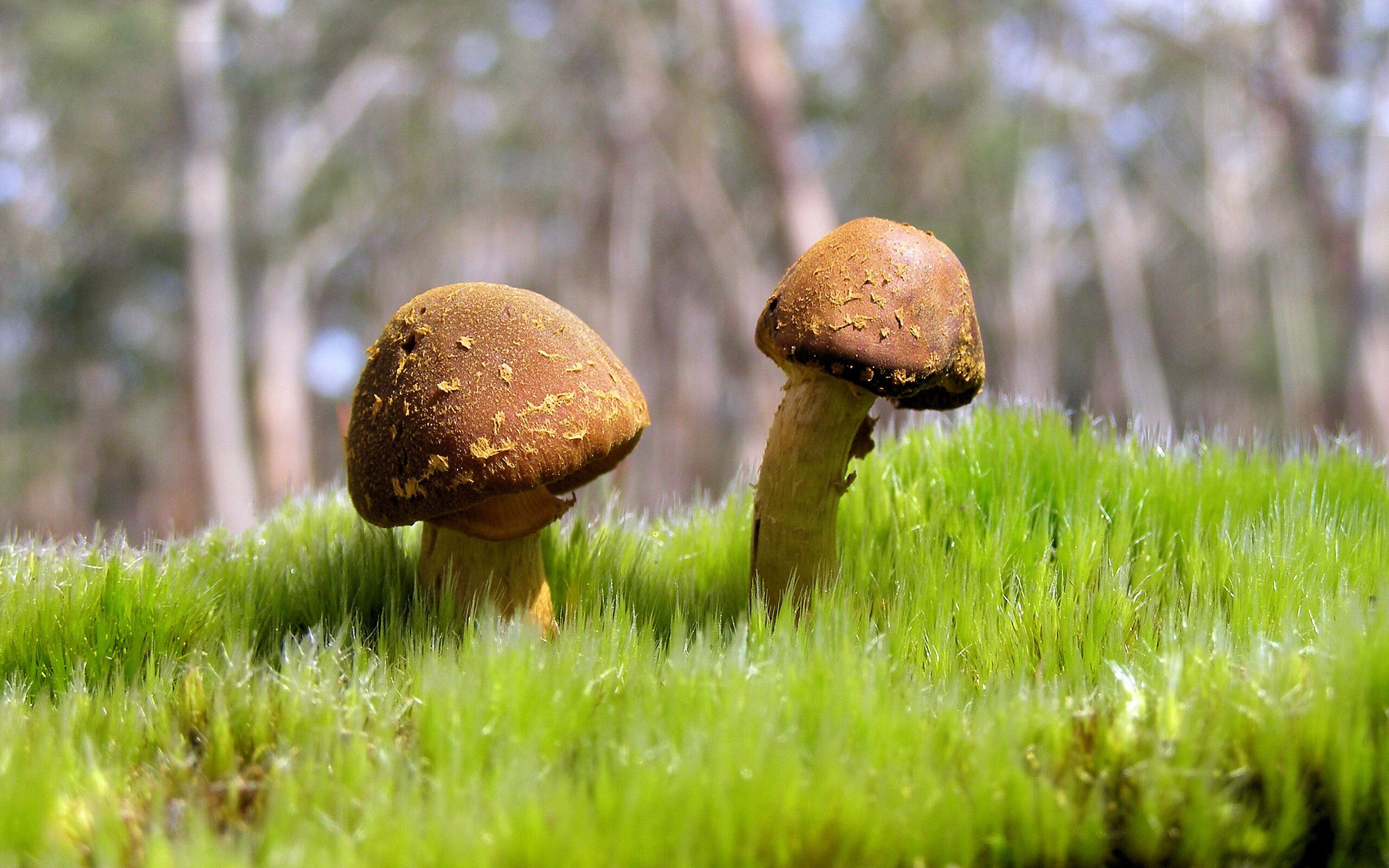 开云体育移动版-国内外篮球名将助阵中国青少年篮球培训交流，2019全国青少年篮球特色学校