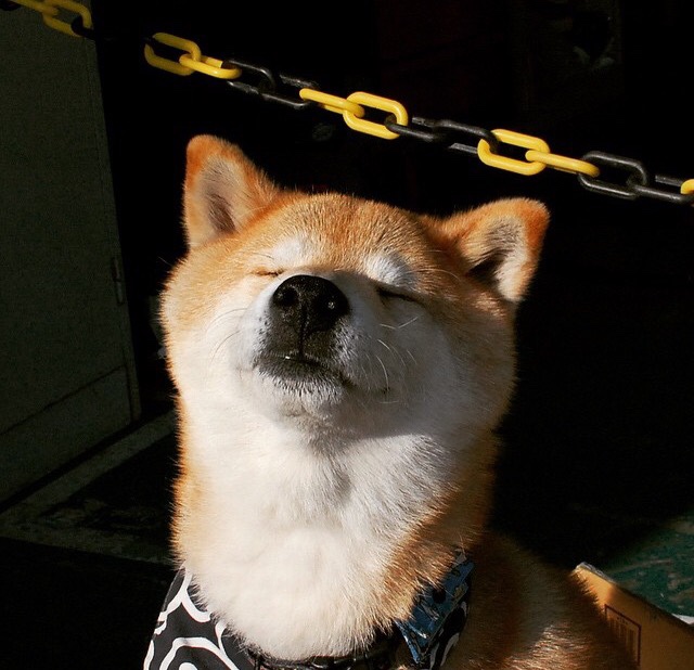 多平台同步直播：实现零距离感受比赛魅力，同步直播今年