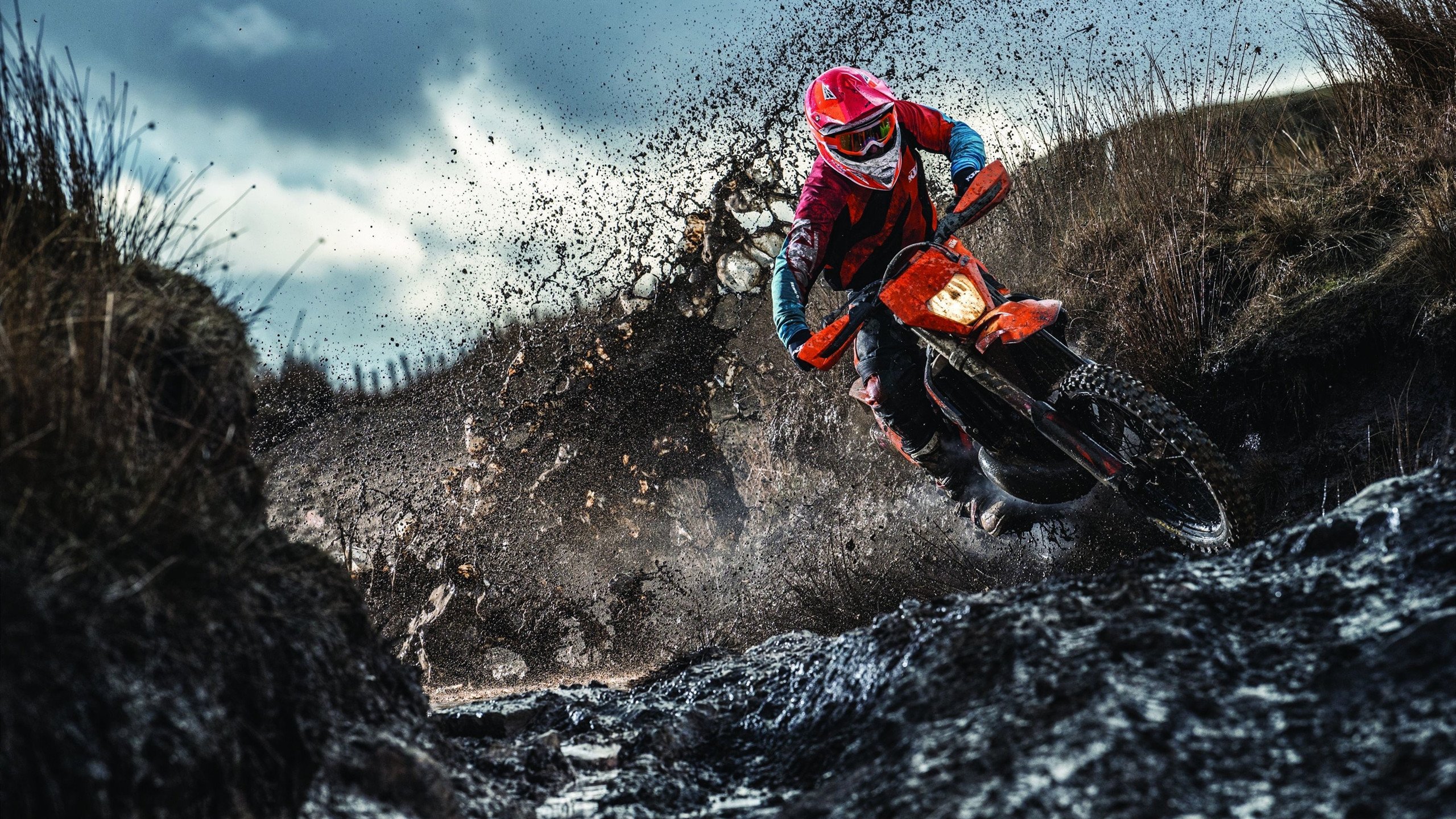 开云电子竞技-莫伊：凭借强大的个人力量和团队配合，巩固了全黑队的前锋阵线